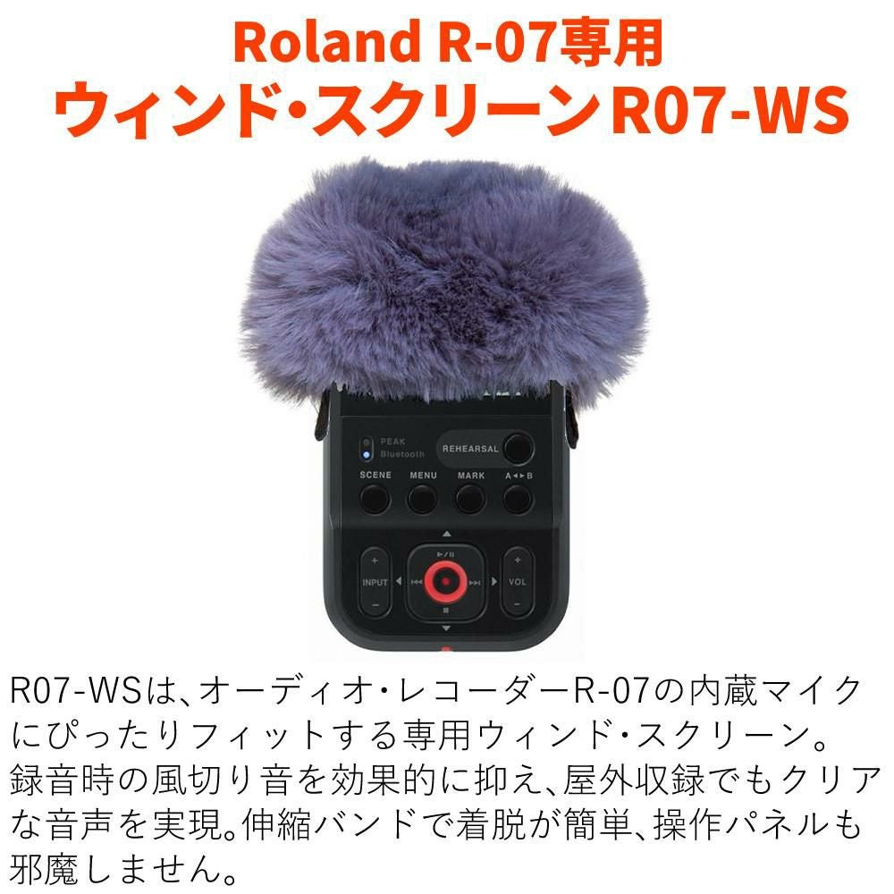 ローランド Roland R-07 BK ブラック 専用 ウィンド・スクリーン セット
