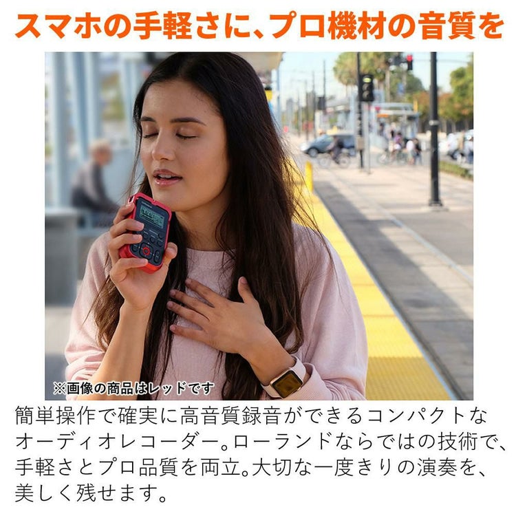 ローランド Roland R-07 BK ブラック 専用 ウィンド・スクリーン セット