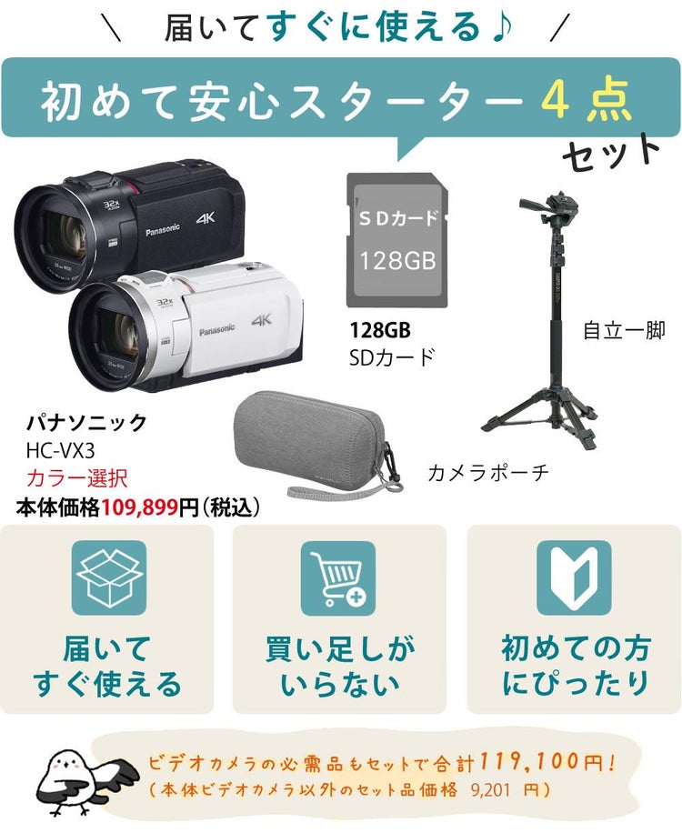 パナソニック デジタル4Kビデオカメラ HC-VX3 ブラック ホワイト ポーチ＆SD128G＆一脚セット