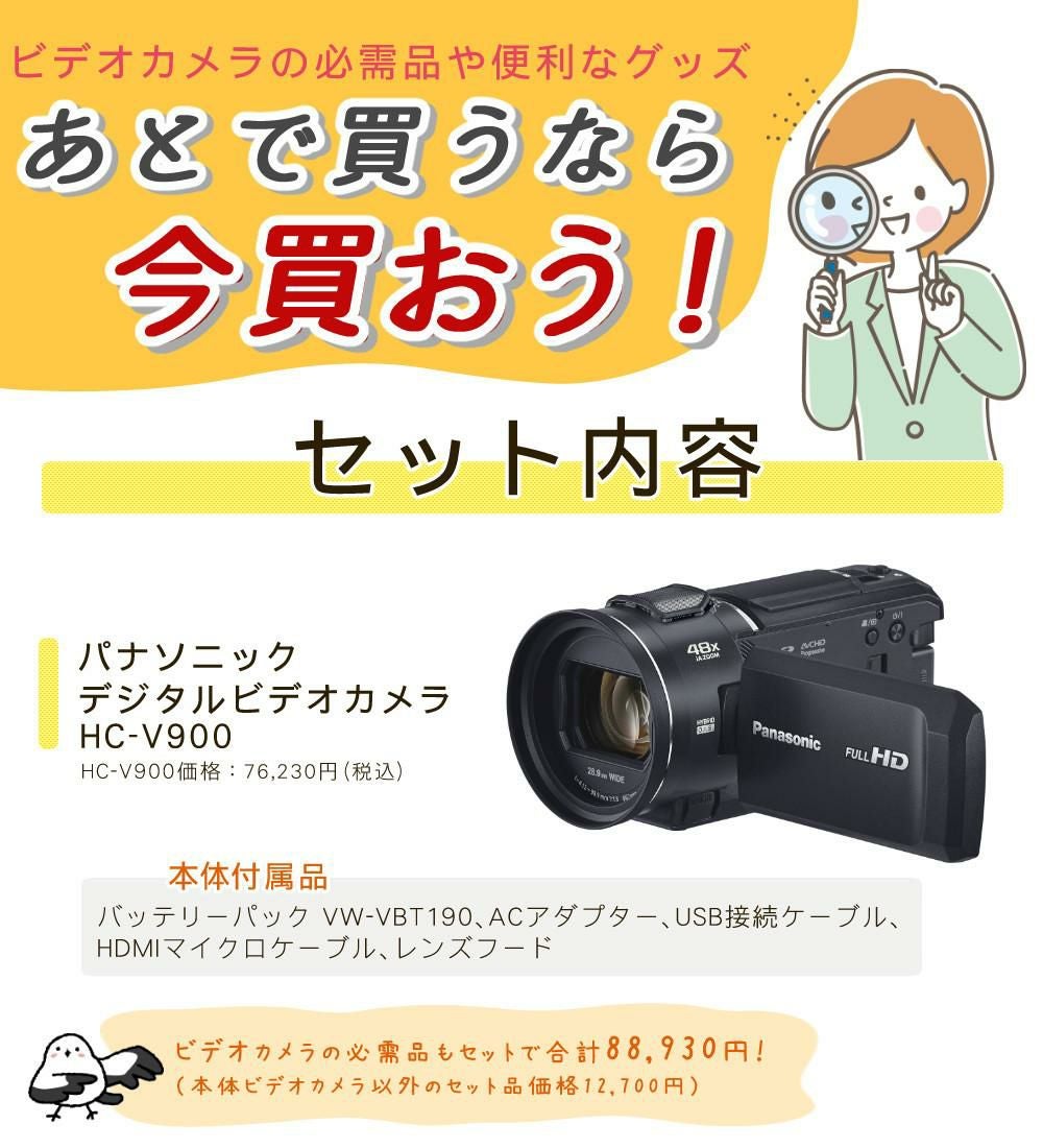 パナソニック デジタルビデオカメラ HC-V900-K ブラック 2K（ポーチ