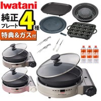イワタニ カセットフー ビストロの達人プラス 焼肉 たこ焼き 網焼き 鉄板焼き プレート カセットガス セット