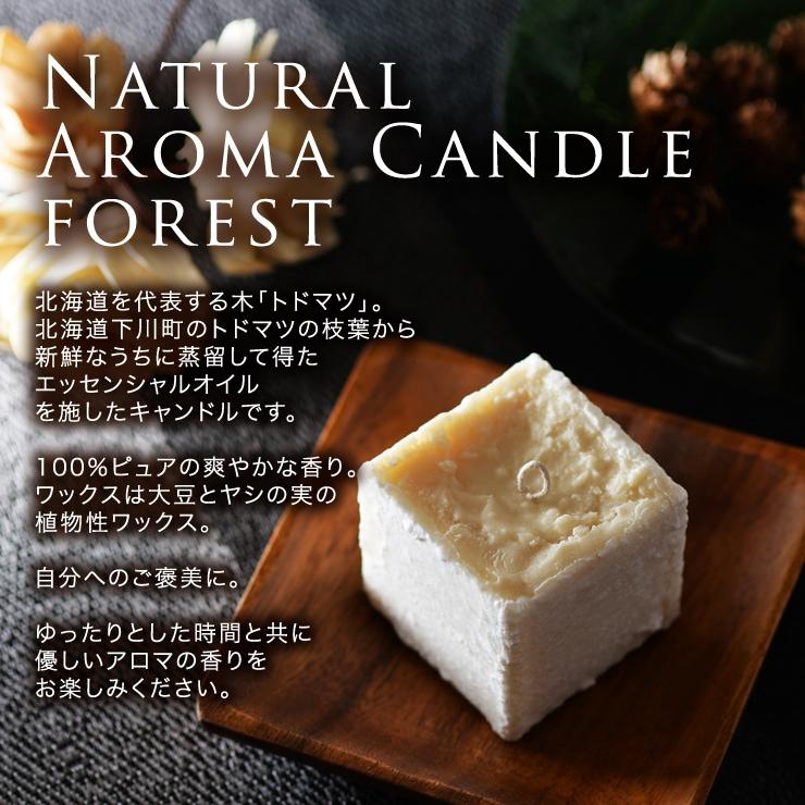 Candly キャンドリー 北海道天然アロマキャンドル （キューブ） ハンドメイド フォレスト