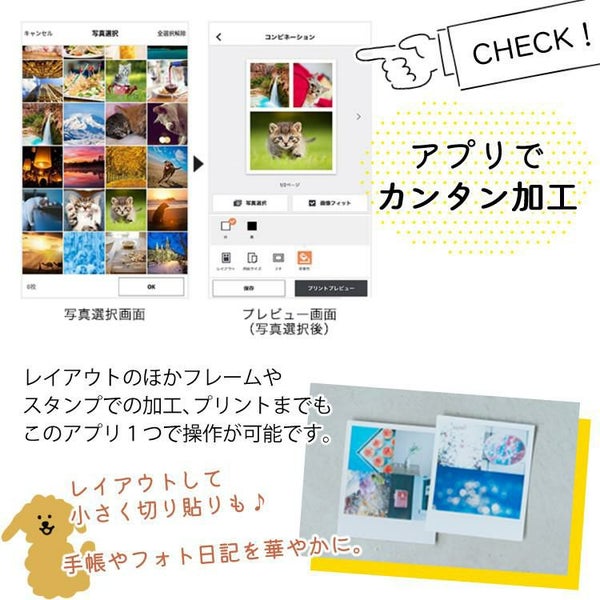 キヤノン フォトプリンター SELPHY SQUARE QX10 ホワイト＆ 用紙40枚セット