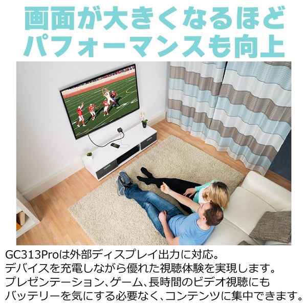 アバーメディア ライブジェネレータポケット AVerMedia LIVE GENERATOR POCKET GC313PBK HDMIケーブル付きセット