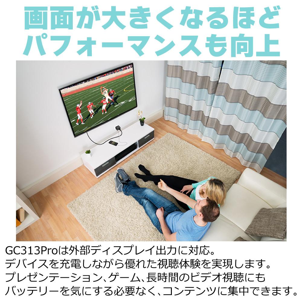 アバーメディア ライブジェネレータポケット AVerMedia LIVE GENERATOR POCKET GC313PWH HDMIケーブル付きセット