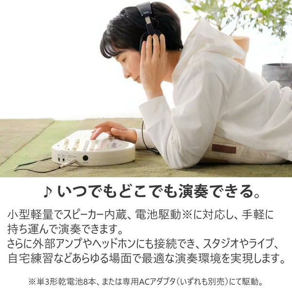 SUZUKI スズキ オムニコード OM-108 オートハープ 電子楽器 自動伴奏機能付き