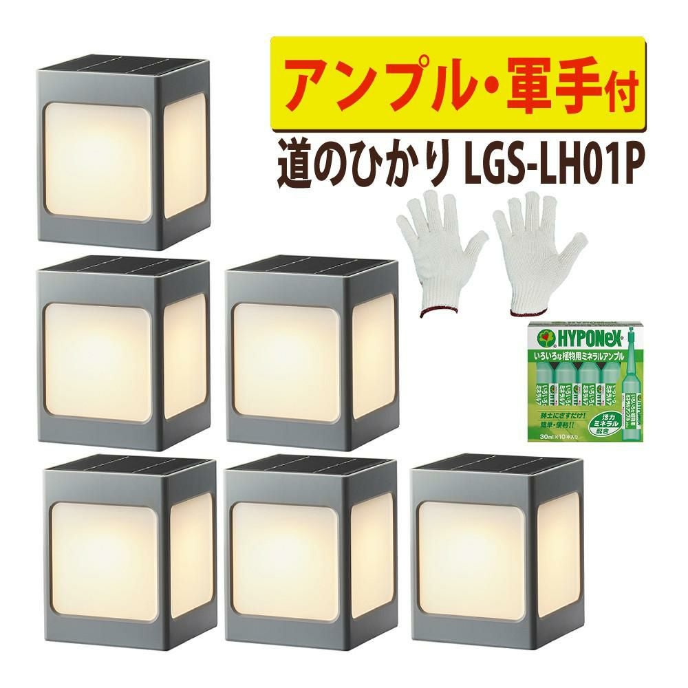タカショー LGS-LH01P ブラック ひかりノベーション SUNCHARGE 道の