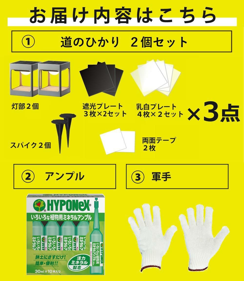 タカショー LGS-LH01P ブラック ひかりノベーション SUNCHARGE 道の