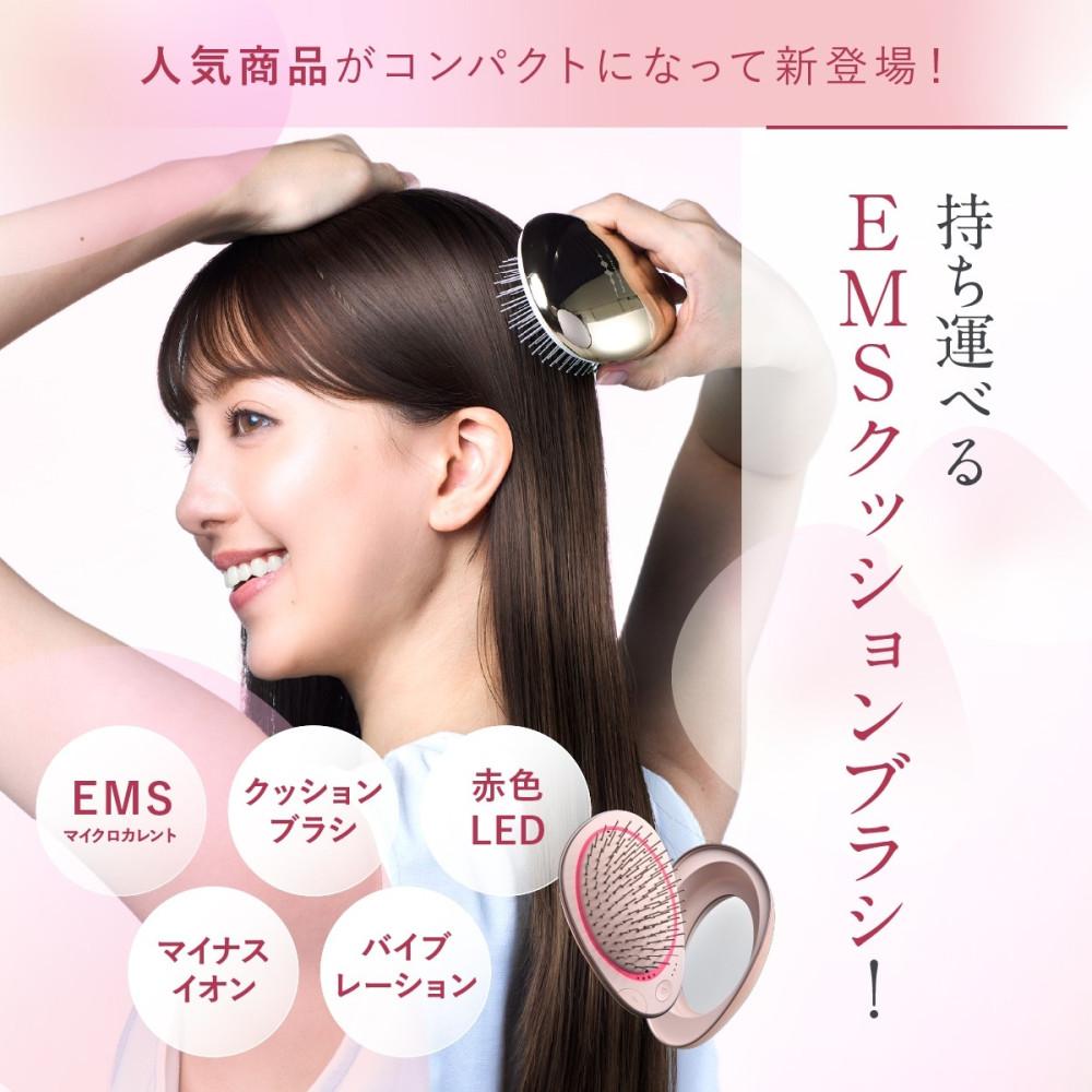 WAVEWAVE 電気ブラシ EMS Brush Air mini ブラッシュエアー ミニ