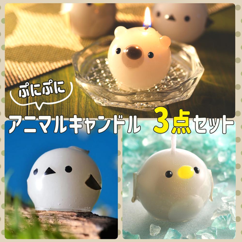 Candly キャンドリー ぷにぷにアニマルCANDLE 3点セット ローソク