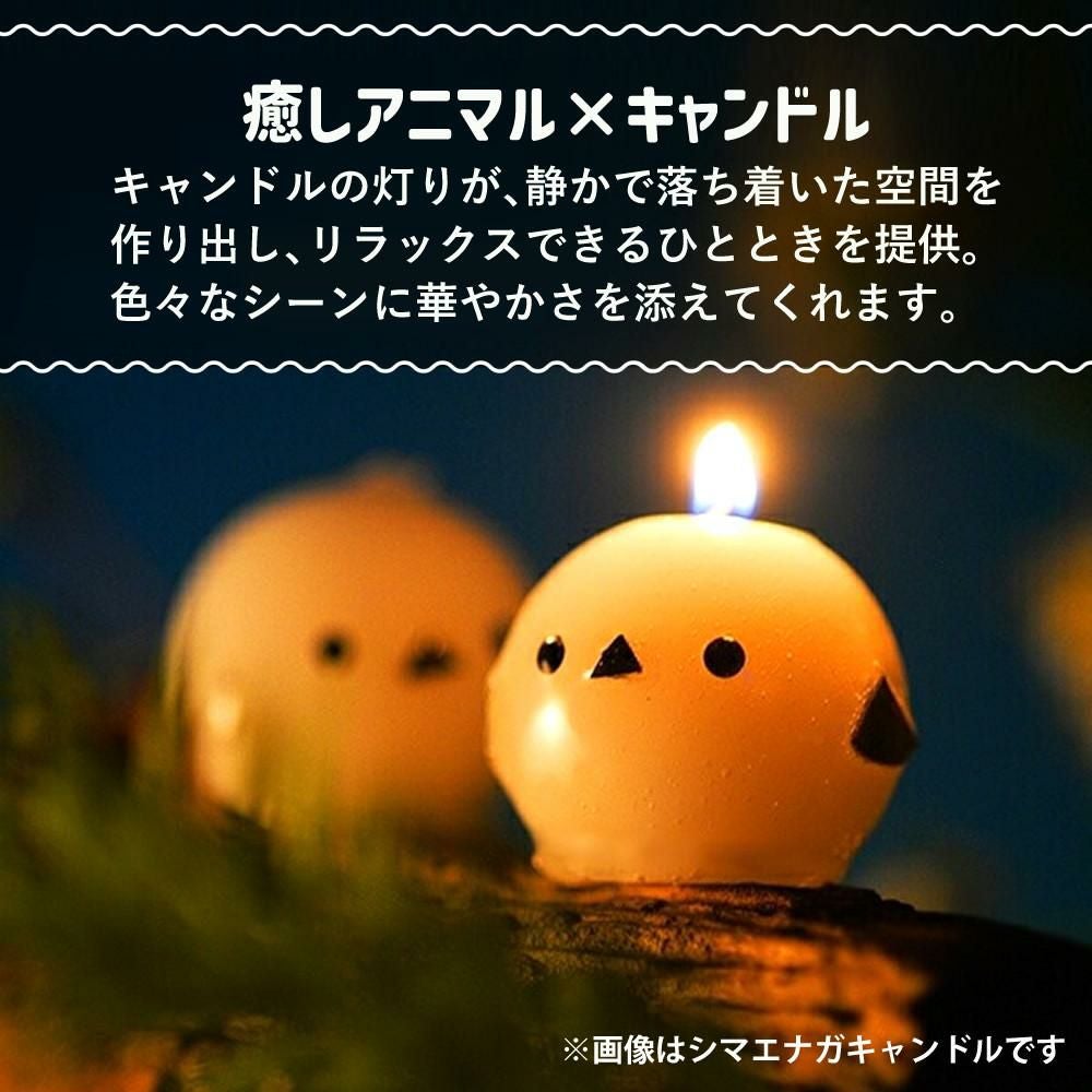 Candly キャンドリー ぷにぷにアニマルCANDLE 3点セット ローソク