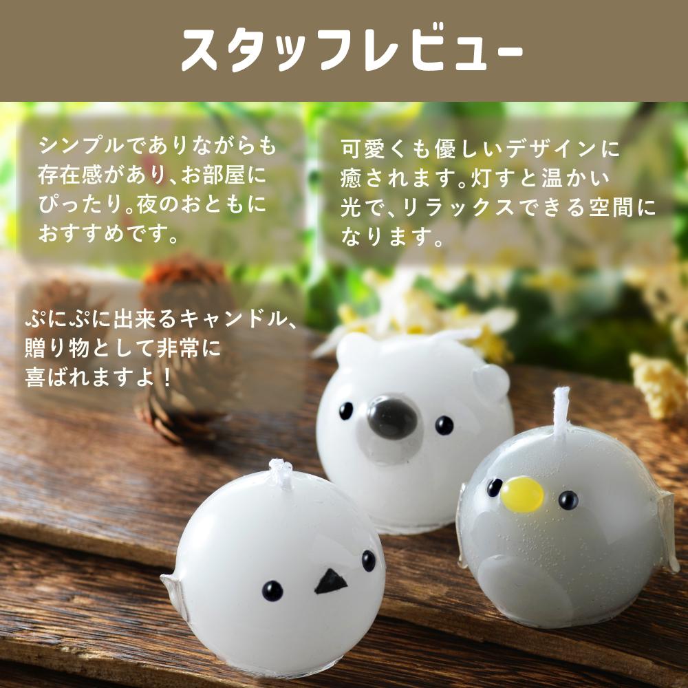 Candly キャンドリー ぷにぷにアニマルCANDLE 3点セット ローソク