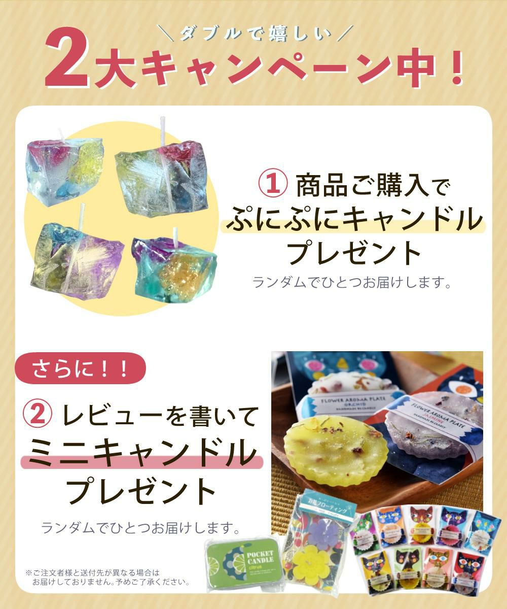Candly キャンドリー ぷにぷにアニマルCANDLE 3点セット ローソク
