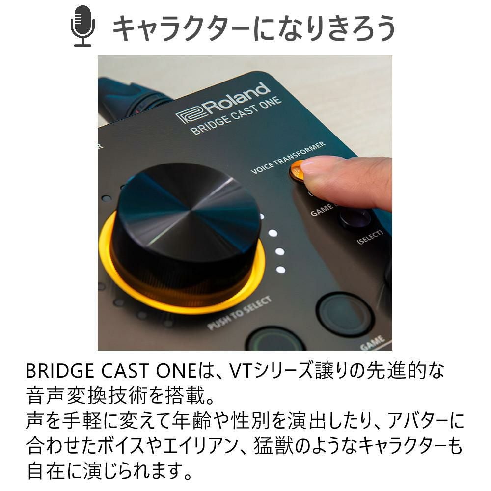 Roland ゲーミングDAC・ミキサー BRIDGE CAST ONE マイク ケーブル