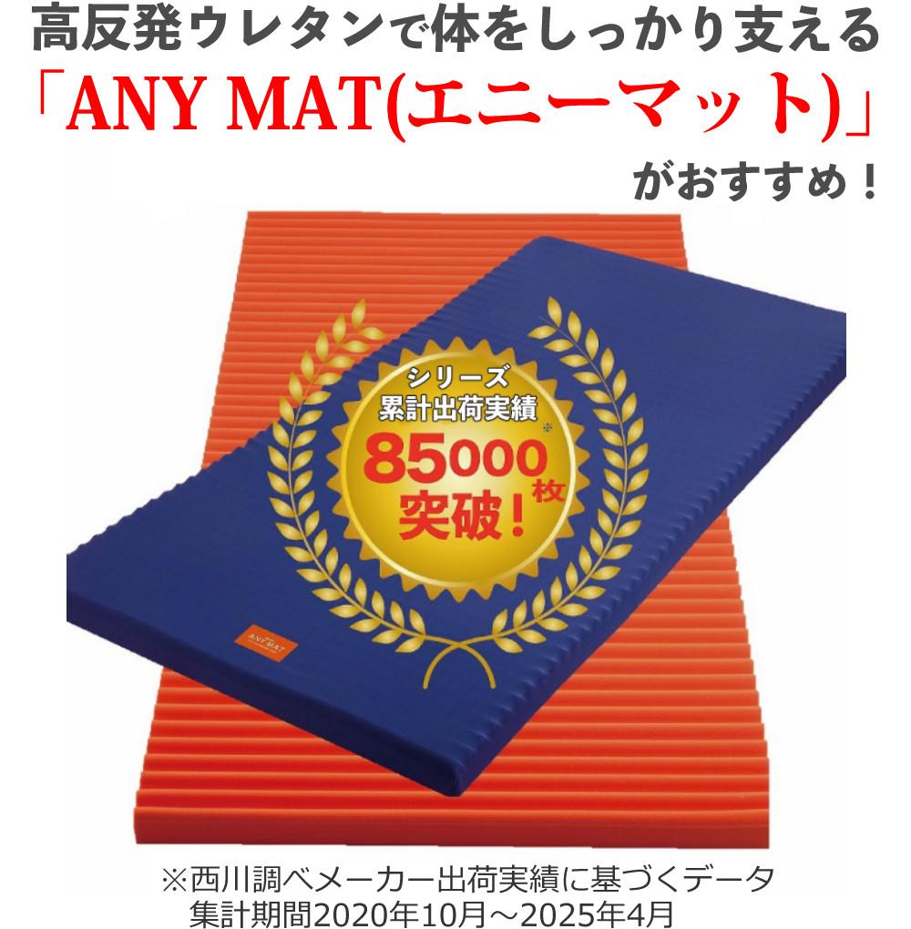 西川 マットレス エニーマット 丸巻き ブルー D 高反発 通気性 軽量