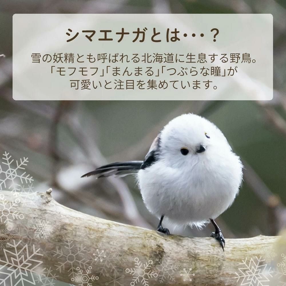 日傘クリップセット) リズム ハンディファン 2025年モデル 春を待つ