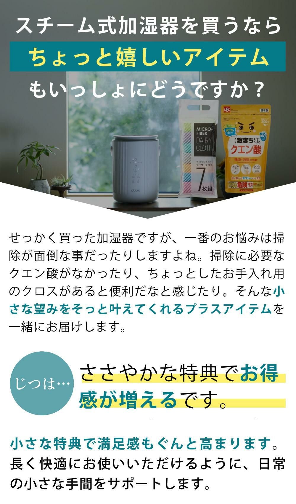 duux スチーム式加湿器 Dawn DXHU41JP ホワイト DXHU40JP グレー お