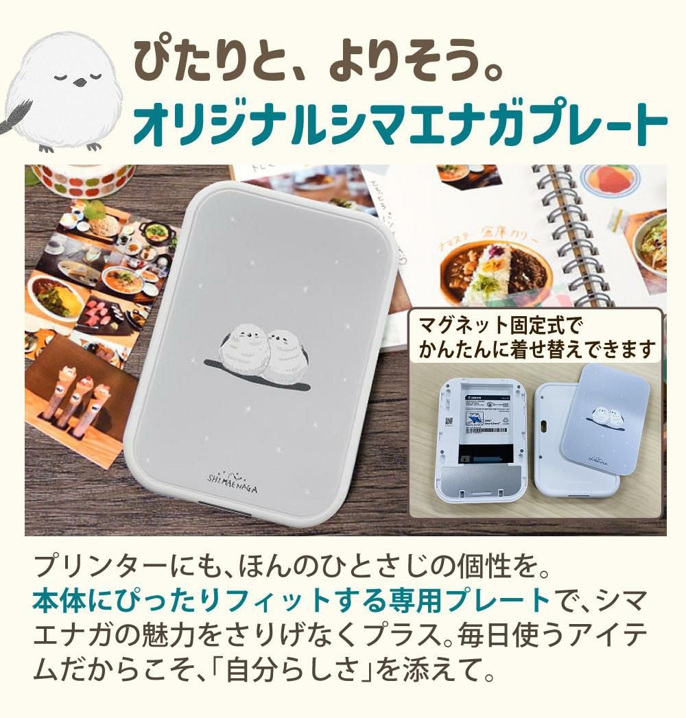 キヤノン ミニフォトプリンター iNSPiC PV-223 ＆ 用紙100枚 ＆ マステ