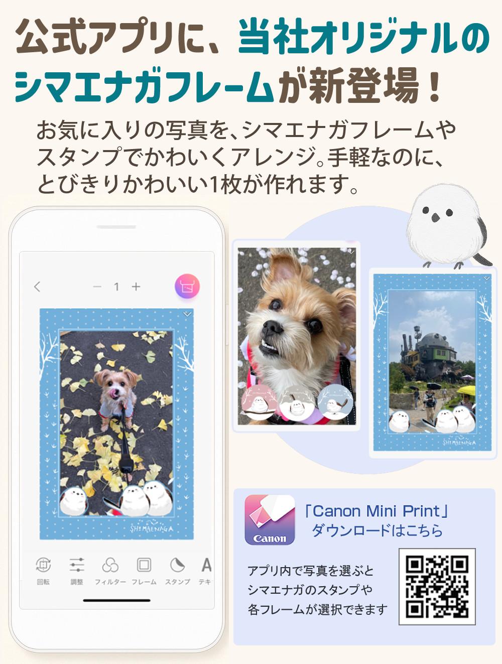 キヤノン ミニフォトプリンター iNSPiC PV-223 ＆ 用紙100枚 ＆ マステ